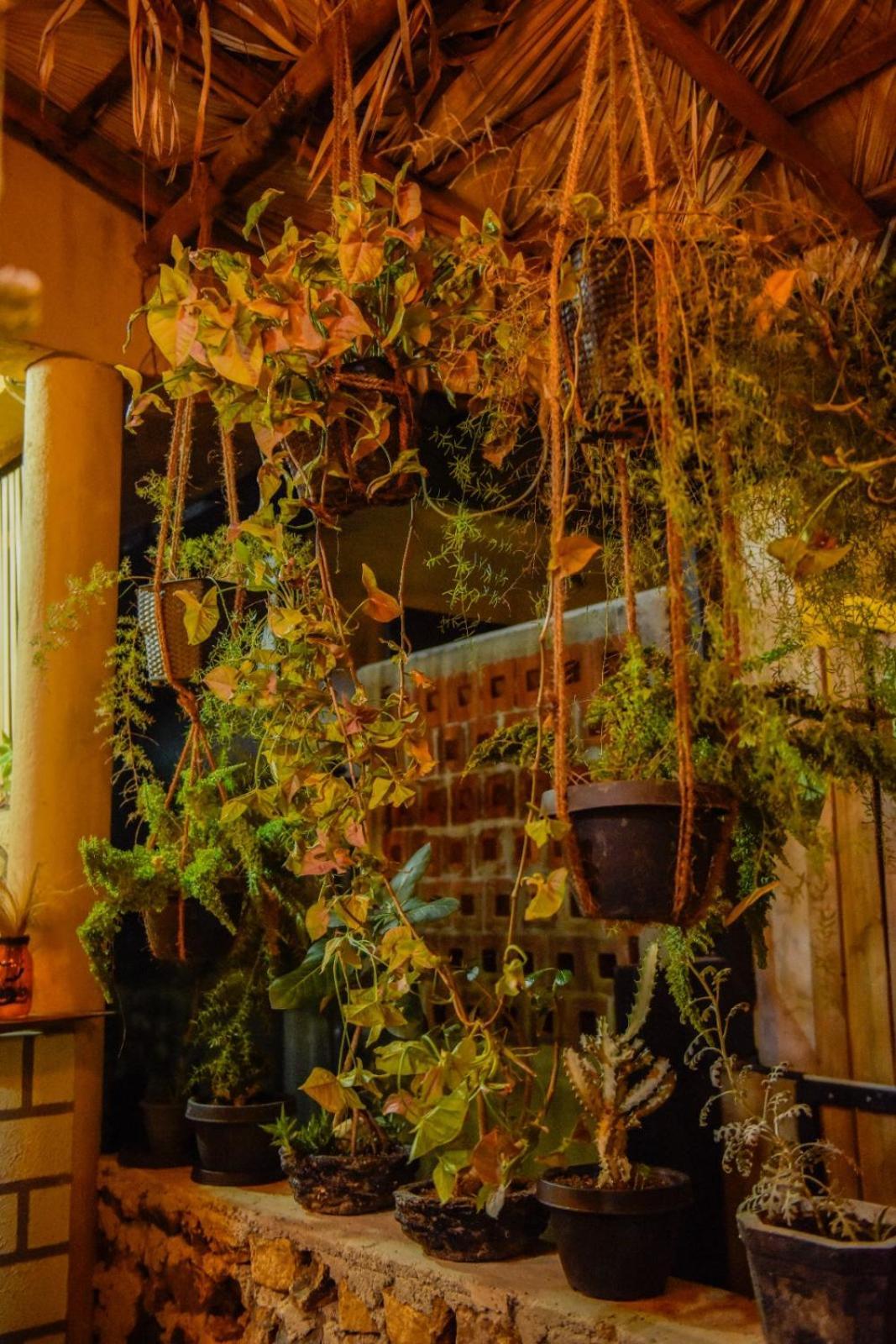 Отель Ella Brown House Экстерьер фото