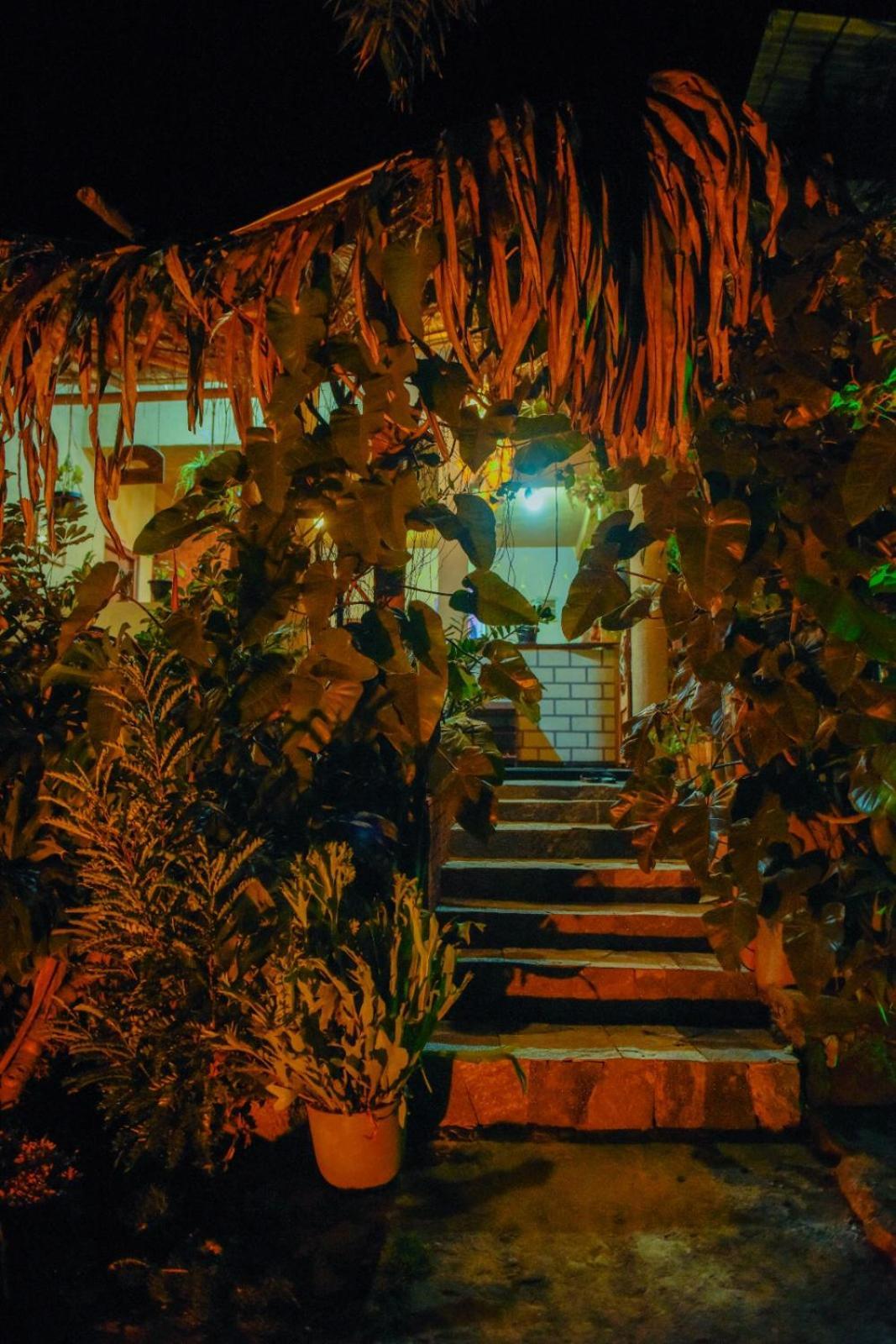 Отель Ella Brown House Экстерьер фото